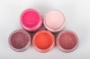 Luscious Pigment Powder - In the Pink Set (5x25ml)