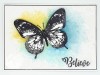 Flutterby Dinkie A7 Red Rubber Stamp