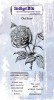 Old Rose DL Red Rubber Stamp