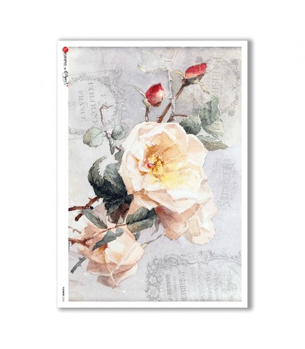 Premium Rice Paper - Flowers (0322) - 1 Design