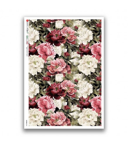 Premium Rice Paper - Pattern-0224 - 1 Design of A4